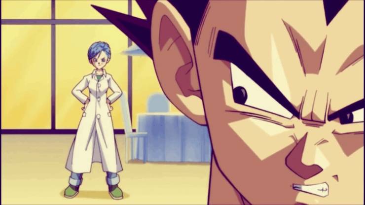 Dragon Ball 20 Things That Make No Sense About Vegeta And Bulmas Relationship Dragon Ball 20 Things That Make No Sense About Vegeta And Bulmas Relationship
